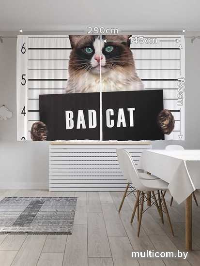 Комплект штор JoyArty Кот преступник 1.45x1.8 м pox_15573_145x180 (2 шт)