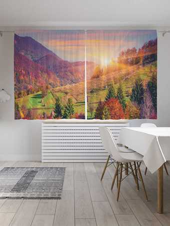 Комплект штор JoyArty Вперед за солнцем Oxford DeLux 1.45x1.8 м (2 шт)