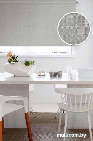 Рулонные шторы Эскар 62x170 (серый)