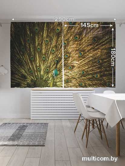 Комплект штор JoyArty Яркий павлин 1.45x1.8 м pox_16423_145x180 (2 шт)