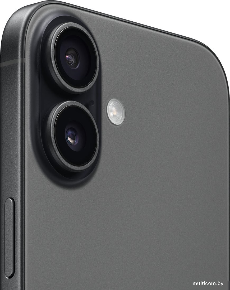 Телефон Apple iPhone 17 Dual eSIM 256GB (черный)