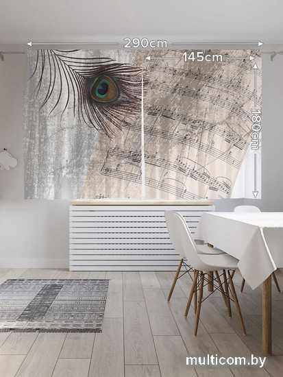 Комплект штор JoyArty Прекрасное перо 1.45x1.8 м pox_17187_145x180 (2 шт)