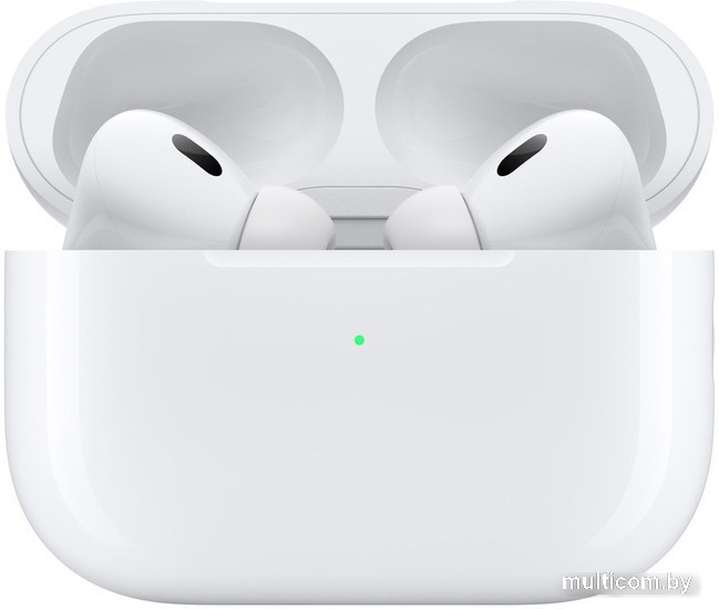Наушники Apple AirPods Pro 2 (с разъемом USB Type-C)