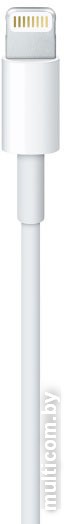 Кабель Apple Lightning to USB 1 м (белый) [MD818ZM/A]