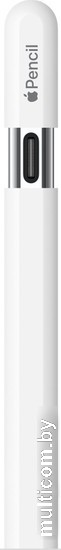 Стилус Apple Pencil USB-C