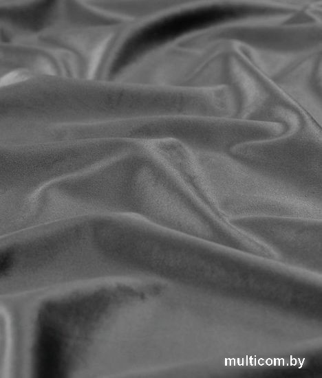 Штора Legrand Велюр 1.5x2.6 м 58118300 (графит)