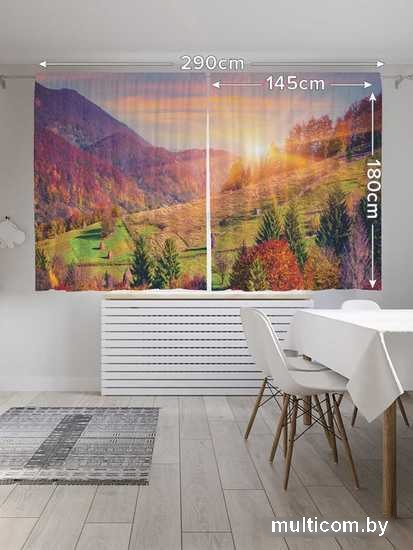 Комплект штор JoyArty Вперед за солнцем Oxford DeLux 1.45x1.8 м (2 шт)