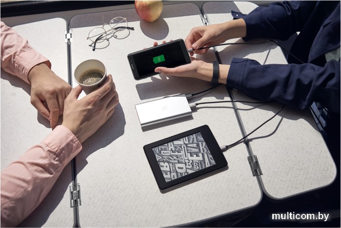 Внешний аккумулятор ACME PB15S 10000mAh (серый)