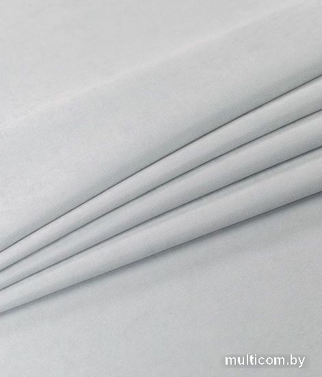 Штора Legrand Канвас 1.5x2.6 м 58118750 (серебристый)