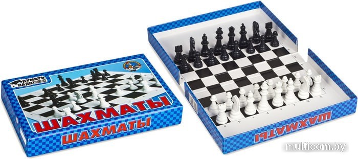 Шахматы Десятое королевство 01457