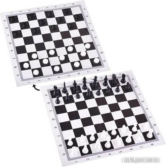 Шахматы/шашки Рыжий кот ИН-0159