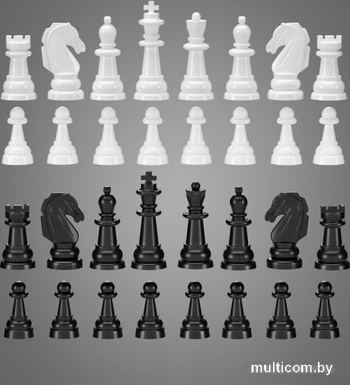 Шахматы/шашки Десятое королевство 03885 (серый)