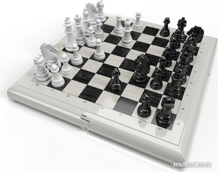 Шахматы/шашки Десятое королевство 03885 (серый)