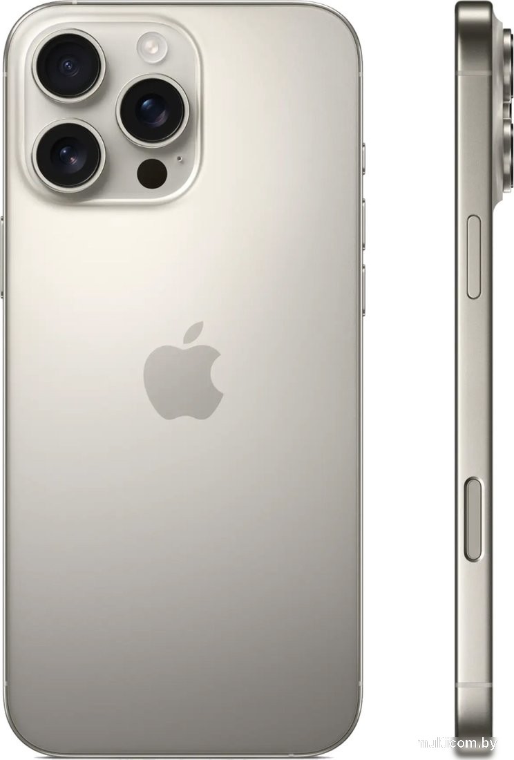 Смартфон Apple iPhone 16 Pro Max 1TB (природный титан)