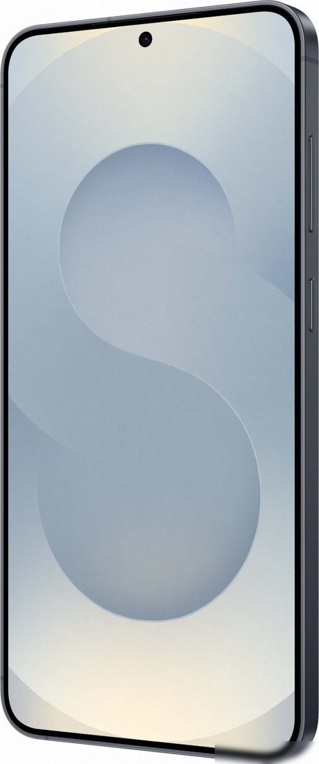 Телефон Samsung Galaxy S25+ SM-S936N 12GB/512GB (сине-черный)